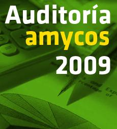 Auditoría 2009