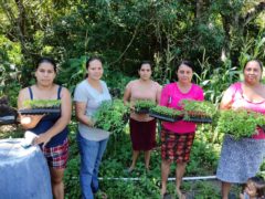 Empoderamiento socio-económico de mujeres campesinas en el Municipio de Cinquera