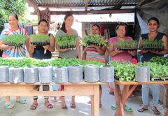 Contribuyendo al derecho de la alimentación de mujeres rurales y de sus familias en el municipio de Cinquera. Fase II